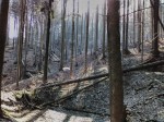 IMG_20180407_162609